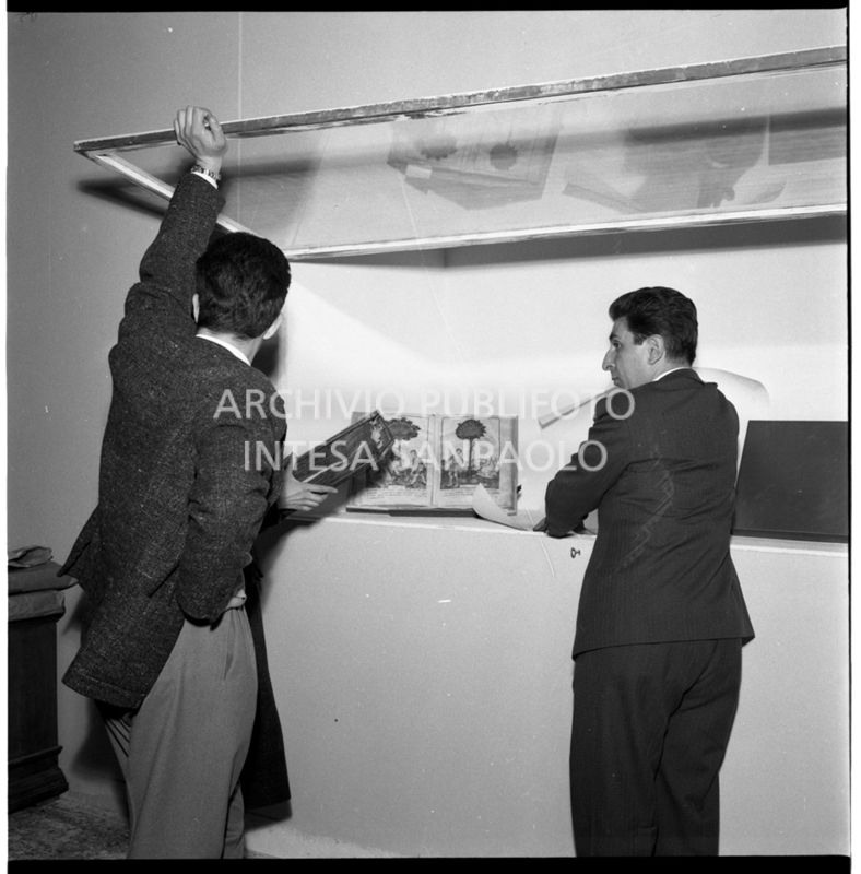 Ultimazione dell'allestimento della Mostra<br>455548