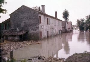 Campagne alluvionate nel Polesine: in primo piano un casolare