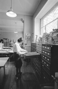 In primo piano Elena Marzari Galla al lavoro tra gli schedari.