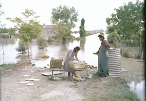 Campagne alluvionate nel Polesine: in primo piano un uomo e una donna con galline e pulcini
