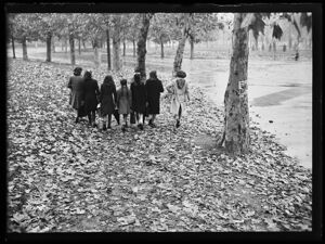 Ragazze passeggiano in un parco d'autunno