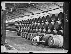 La cantina dello stabilimento enologico Gonzales a Jerez in Spagna
