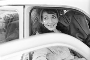 Al guinzaglio il barboncino Toy.<br>