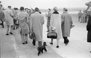 Al guinzaglio il barboncino Toy.<br>