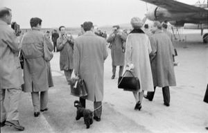 Al guinzaglio il barboncino Toy.<br>