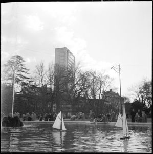 Sullo sfondo la Torre del Centro svizzero.<br>