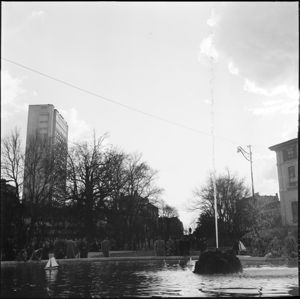 Sullo sfondo la Torre del Centro svizzero.<br>
