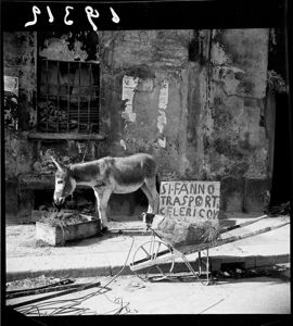 "Trasporti celeri" con somarello