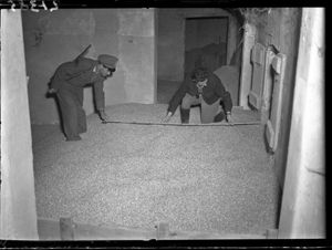 Due signori (uno in divisa) prendono delle misure con un metro di una montagna di grano<br>