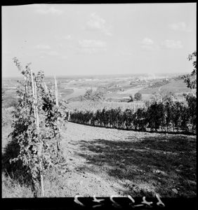 <br>