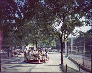 Sullo sfondo si intravede parte di un edificio ed alcuni ombrelloni, sulla destra un campo da bocce recintato<br>