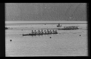 <br>